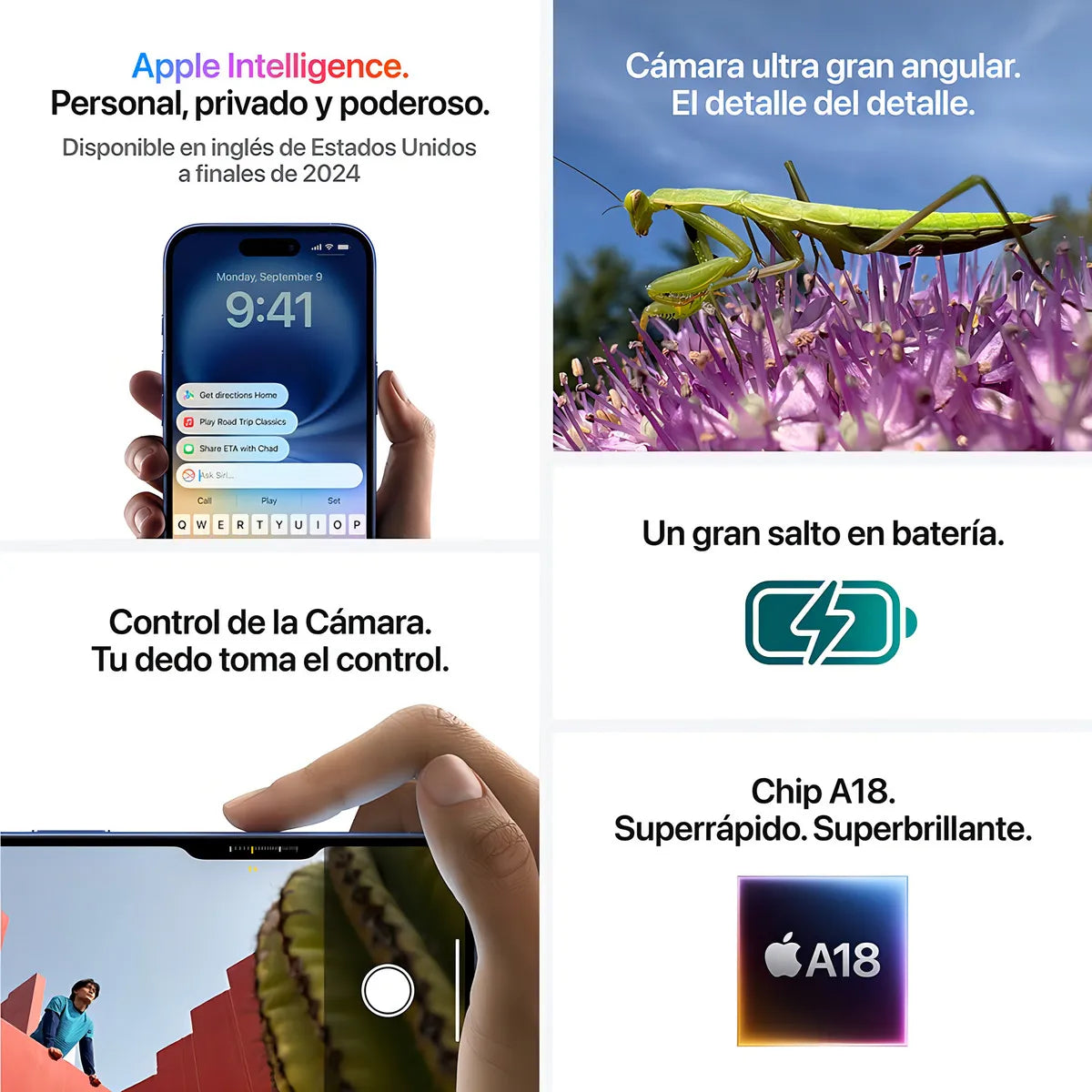 iPhone 16 Plus (Exhibición)